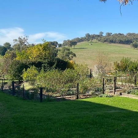 Mount Hope Estate Vineyard Apartment Dixons Creek Exterior foto