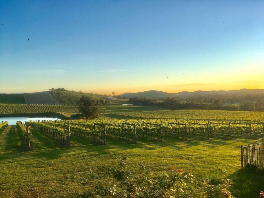 Mount Hope Estate Vineyard Apartment Dixons Creek Exterior foto
