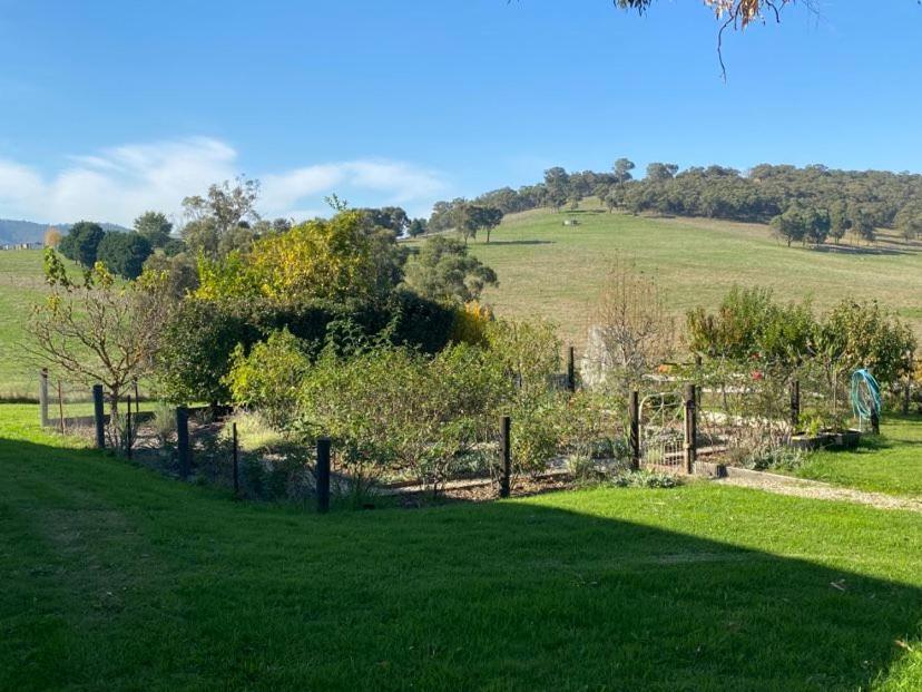 Mount Hope Estate Vineyard Apartment Dixons Creek Exterior foto